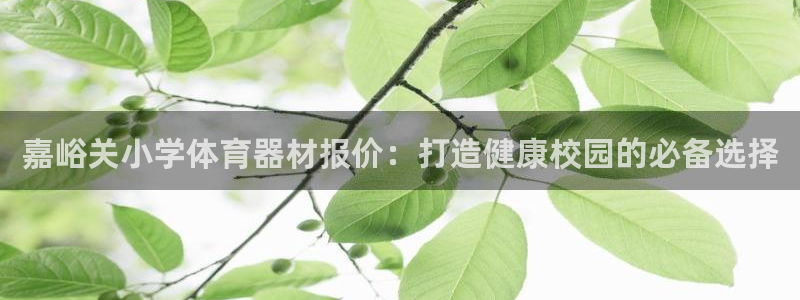 星欧娱乐平台怎么样啊可靠吗：嘉峪关小学体育器材报价：