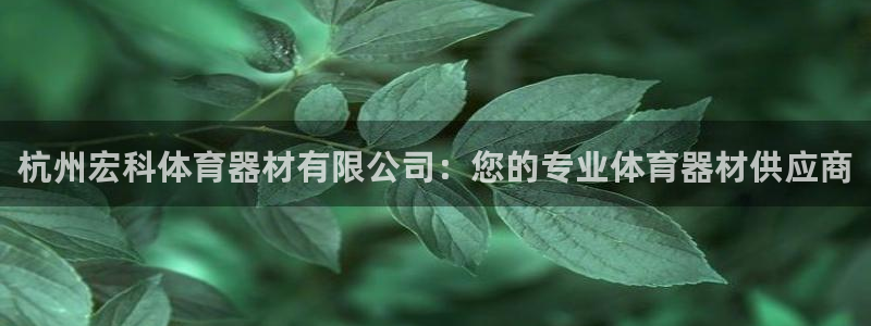 星奥娱乐集团股份有限公司官网